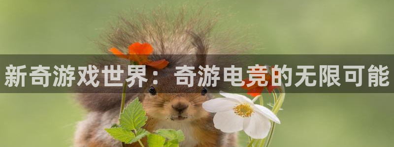 米兰电竞登录入口：新奇游戏世界：奇游电竞的无限可能